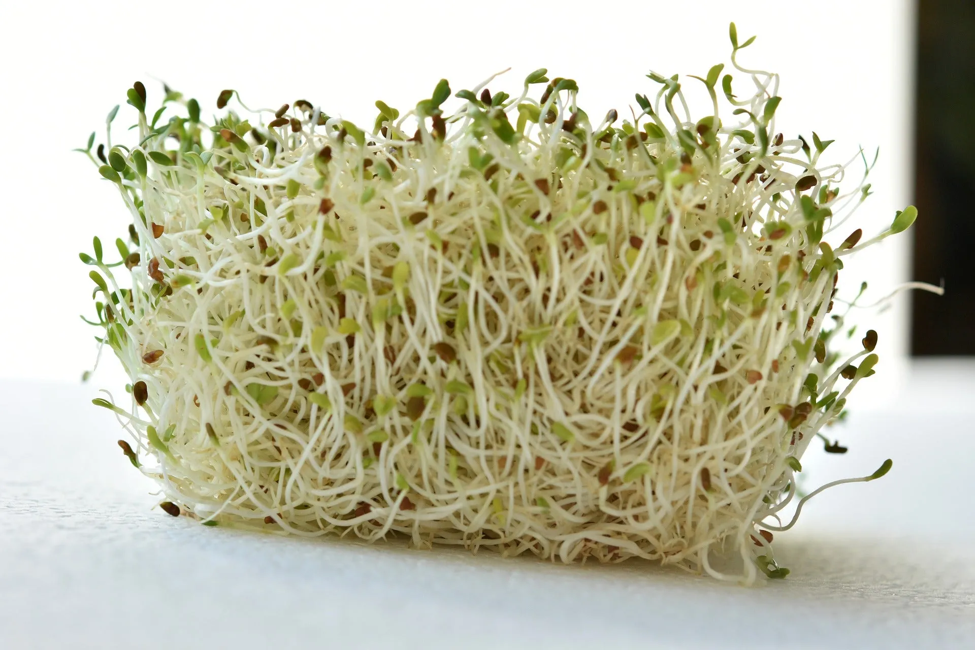 Alfalfa Leaf Cut & Sifted